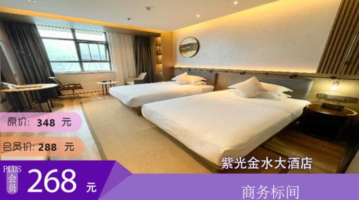 商务标间  紫光金水大酒店 商品图0