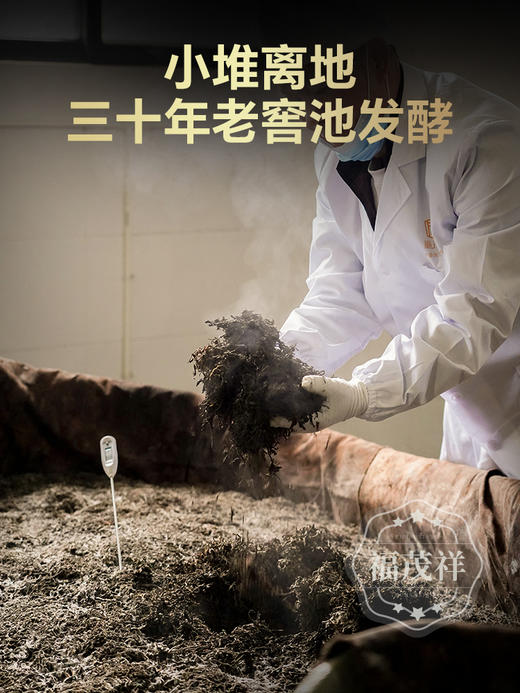 糯甜醇厚【南糯山小玉饼】2018年春茶云南勐海南糯山普洱茶熟茶 8g/片 400g/袋 商品图3