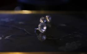 山中高士晶莹雪 | 白蛋白钻戒指耳环套装