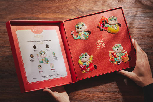 [限量]正版中央广播电视总台2025乙巳蛇年春晚吉祥物“巳升升”冰箱贴-艺术珍藏版 商品图10