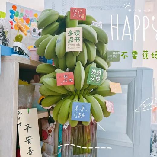 【禁止蕉虑❗️办公室水培小香蕉】下单送卡片，办公室创意搞怪水培小香蕉，新鲜连果插花绿植L 商品图1
