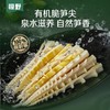 3袋39.9有机笋尖系列精选优质笋尖鲜嫩甘甜还原山野原味肉质厚且松脆开袋即炒快手家常菜配料表干净基地直邮 商品缩略图0