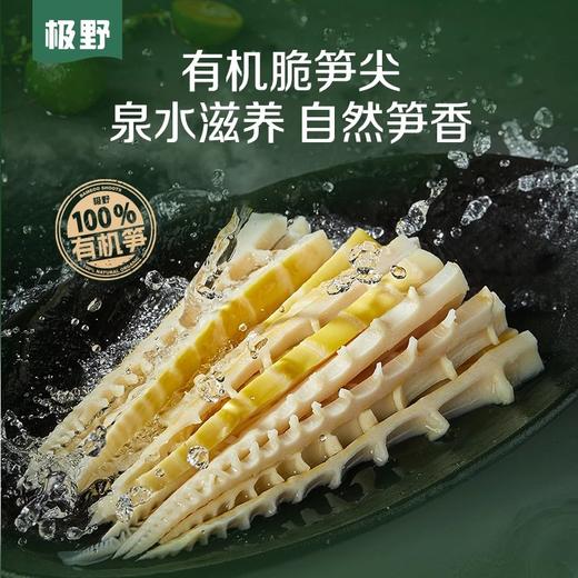 3袋39.9有机笋尖系列精选优质笋尖鲜嫩甘甜还原山野原味肉质厚且松脆开袋即炒快手家常菜配料表干净基地直邮 商品图0