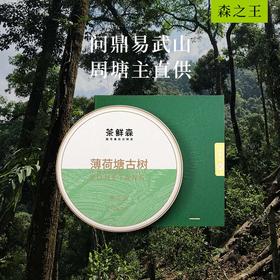 2024年 薄荷塘古树  送品鉴装礼盒 普洱茶 生茶 200g/饼