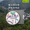 2024 弯弓古树  森之美   普洱茶 生茶 200g/饼 商品缩略图0