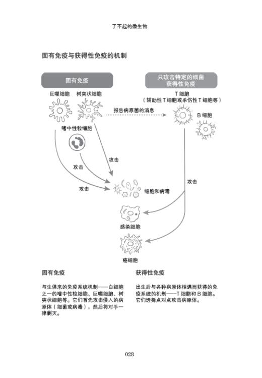 了不起的微生物 商品图5