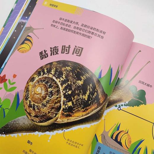 DK狂野动物科学家 商品图4