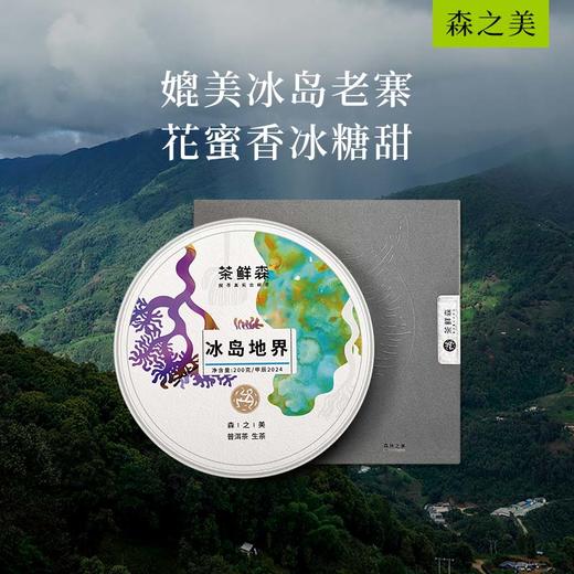 2024 冰岛地界 森之美 拍5发6 普洱茶 生茶 200g/饼 商品图0