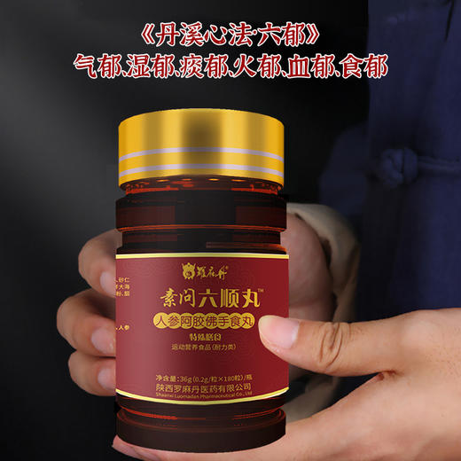 素问六顺丸 商品图1