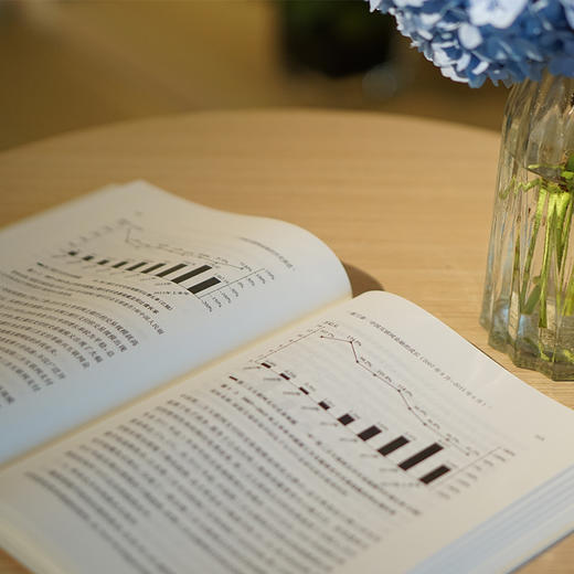 中国互联网金融的历史演进 商品图5