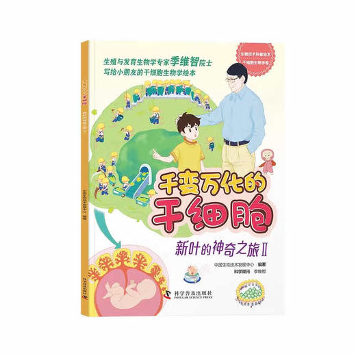 千变万化的干细胞——新叶的神奇之旅 商品图2