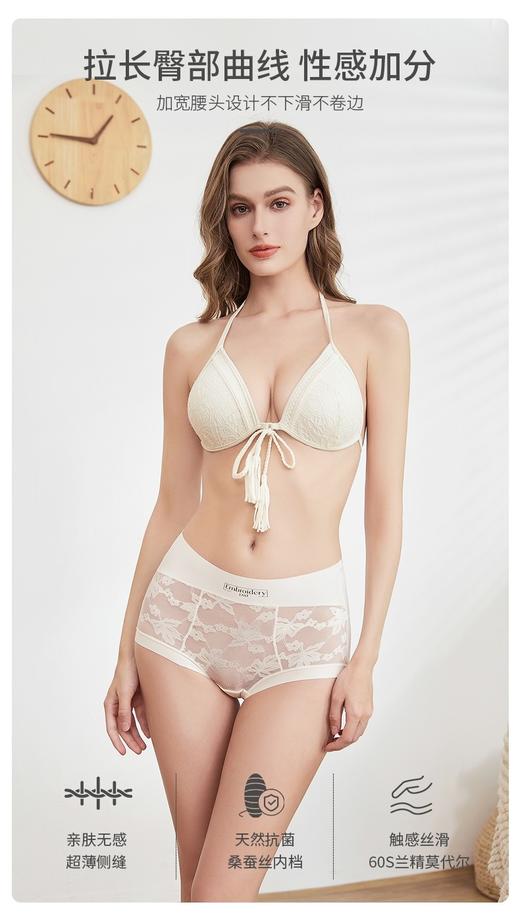 维多利亚出口原单宫廷御用提花内裤(发三条) 商品图8