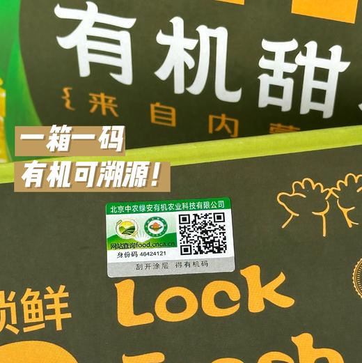 【斌哥优选】有机甜糯玉米。非转基因，sgs601项0农残。1小时真空急速锁鲜，3甜7糯，谁都爱吃。 商品图2