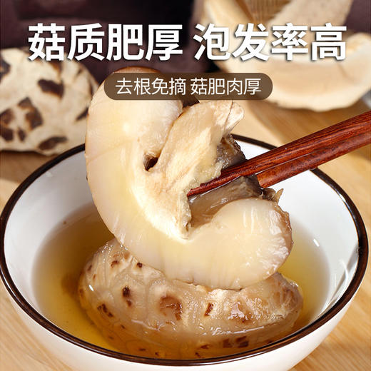 在菌屋 云南农家椴木大花菇（直径6-8cm） 300g/袋 肉质厚实 口感鲜香嫩滑 菇香浓郁 商品图7