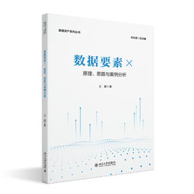 数据要素×：原理、思路与案例分析 王鹏 著 北京大学出版社 数据资产系列丛书