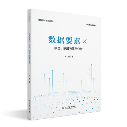 数据要素×：原理、思路与案例分析 王鹏 著 北京大学出版社 数据资产系列丛书 商品图0