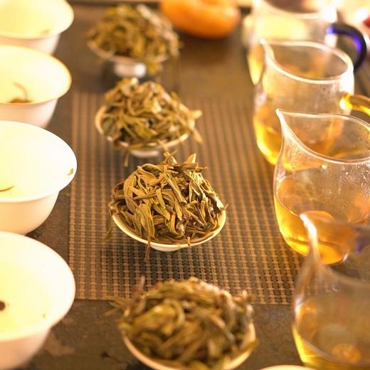 2024 冰岛地界 森之美 拍5发6 普洱茶 生茶 200g/饼 商品图2