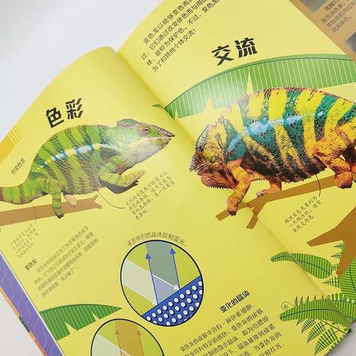 DK狂野动物科学家 商品图3