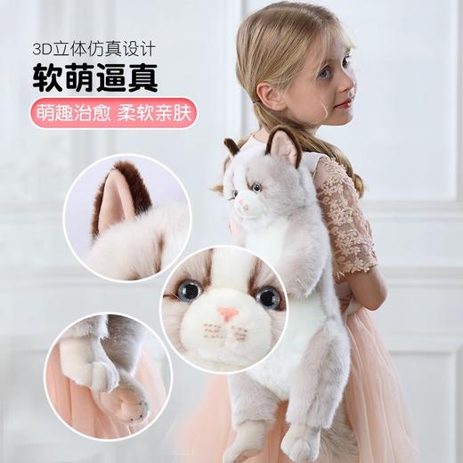 科迈特预售仿真布偶猫背包猫包公仔玩偶娃娃抖音同款生日礼物 商品图3