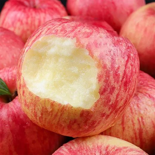 洛川苹果 商品图4