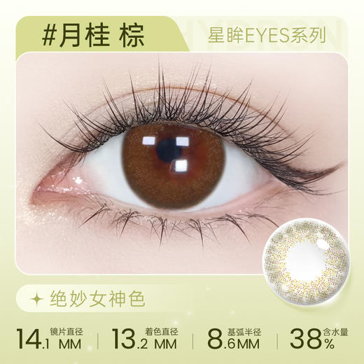 【彩瞳】海昌星眸EYES半年抛1片装|月桂棕 商品图0