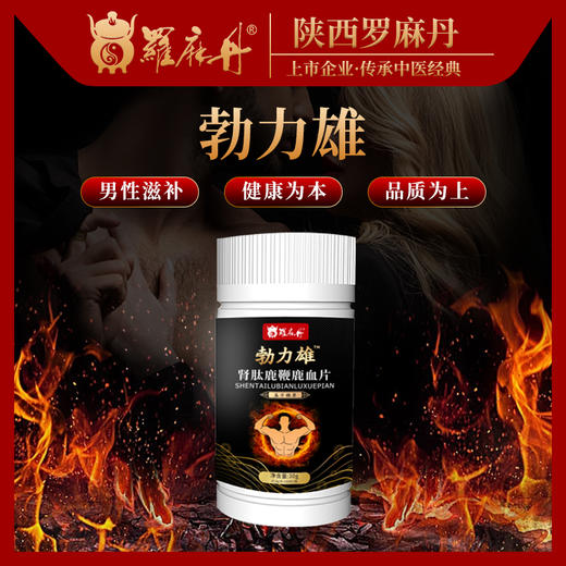 勃力雄 商品图0