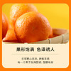 【分仓直发包邮】广西沃柑（一级果） 4.5斤（中果，果径60-65mm） 商品缩略图4