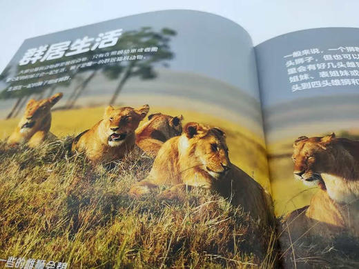 BBC王朝：双语绘本科普版(全10册) 商品图8