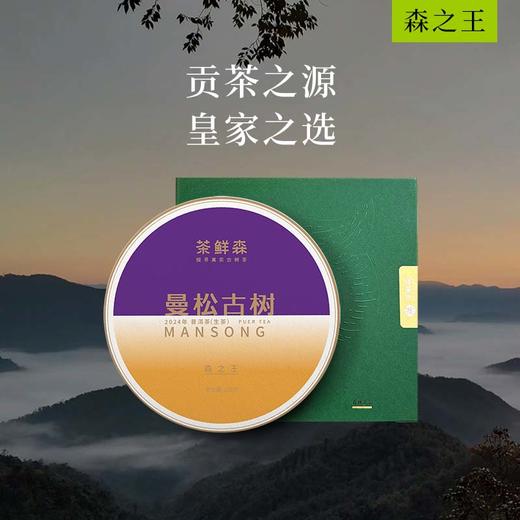 2024年曼松古树  送品鉴装礼盒 普洱茶 生茶 200g/饼 商品图0