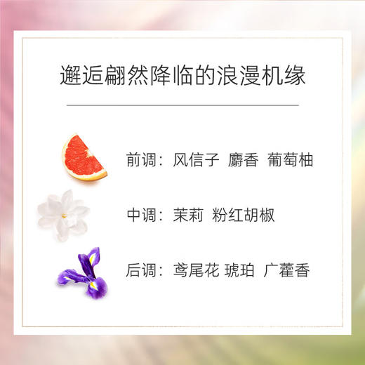 【航免仓】CHANEL香奈儿粉邂逅淡香水50ml 商品图1