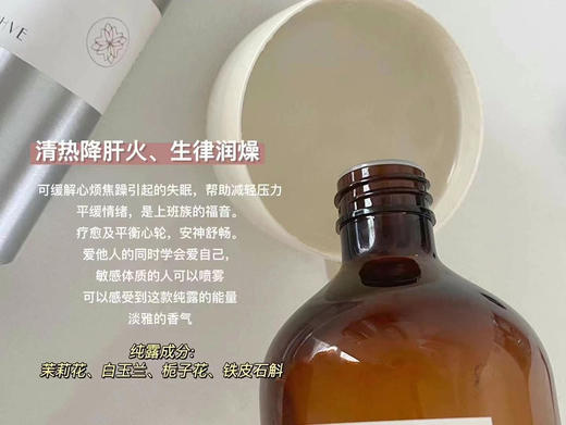 特制·值咳闰肺润肤降火纯露 500ml 商品图1
