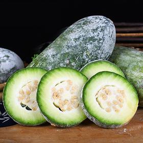 【生鲜预定】小冬瓜（整个）