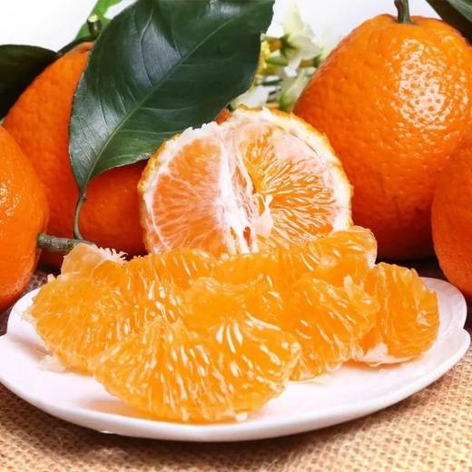 【分仓直发包邮】耙耙柑二级果 2斤（约8个）小果65-70mm 商品图3