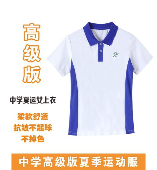 高级版 抑菌透气  抗皱不起球 中学夏装运动服   【深圳市中小学校服供应商】 51深圳校服 商品图2