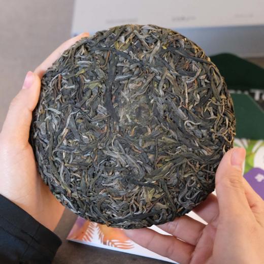 2024 弯弓古树  森之美   普洱茶 生茶 200g/饼 商品图1