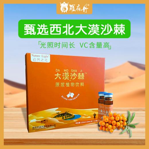 大漠沙棘口服液 商品图0