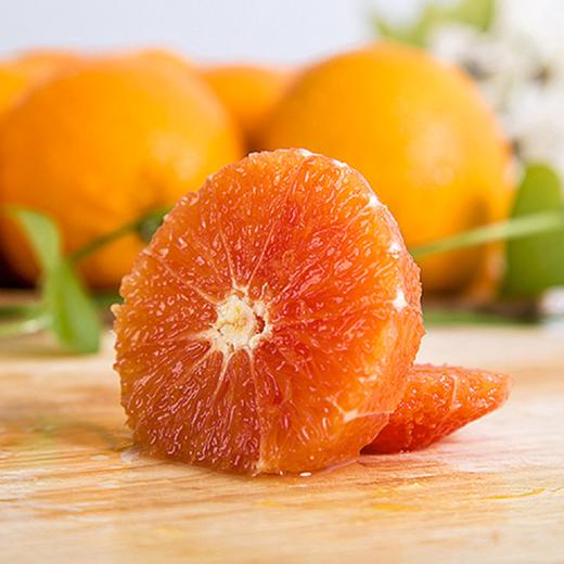 秭归中华红脐橙 新鲜采摘 商品图5