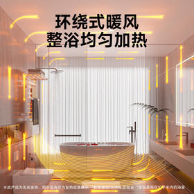 奥戈那OGNAL取暖器智能电热毛巾架家用电暖器卫生间碳纤维全屋浴室暖风机烘干式浴巾架 HB22-R33【烘干抑菌】