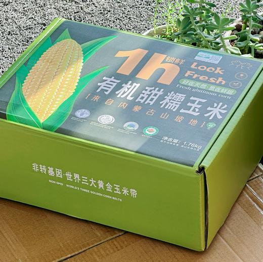 【斌哥优选】有机甜糯玉米。非转基因，sgs601项0农残。1小时真空急速锁鲜，3甜7糯，谁都爱吃。 商品图6