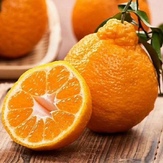 【分仓直发包邮】耙耙柑二级果 2斤（约8个）小果65-70mm 商品图0