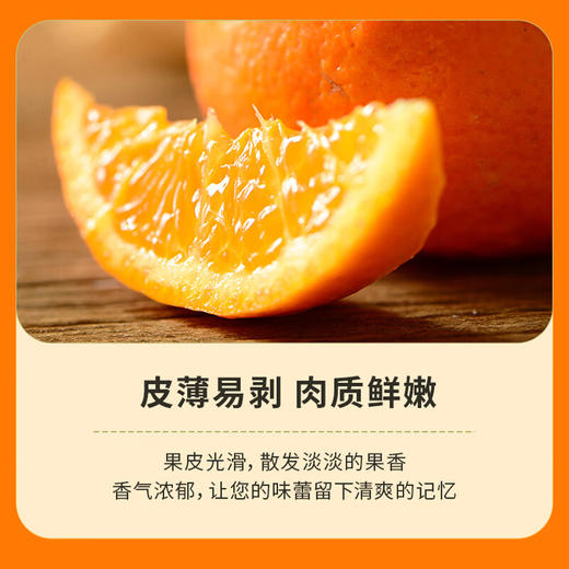 【分仓直发包邮】广西沃柑（一级果） 4.5斤（中果，果径60-65mm） 商品图6