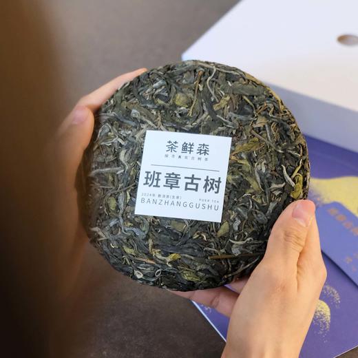 2024年 班章古树 普洱茶 生茶 200g饼 森之味 ，拍5发6 商品图1