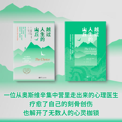 越过人生的山丘 商品图2