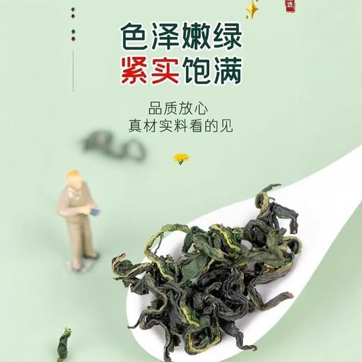 南京同仁堂 乾坤六和 蒲公英根250g 源自吉林长白山，蒲公英茶100g 新鲜采摘 商品图4