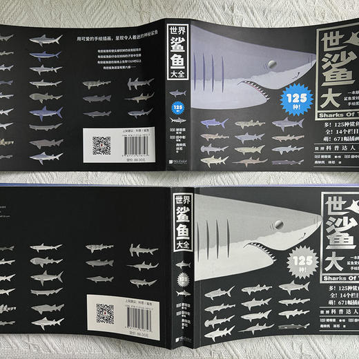 世界鲨鱼大全 商品图12