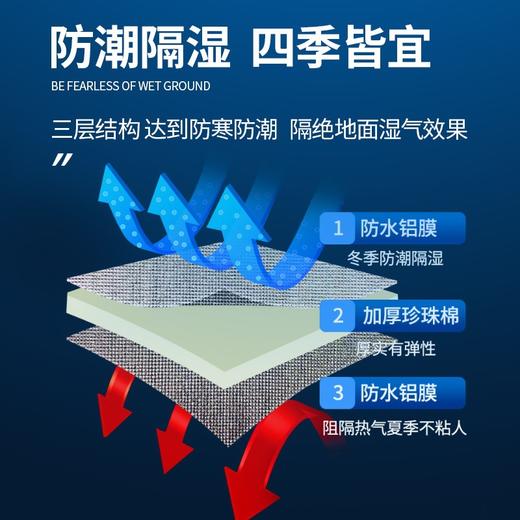 【送收纳袋❗️户外铝膜露营垫】防水/防潮/隔热/隔凉/保温/耐磨，超实用！防潮垫双面加厚沙滩地垫珍珠棉野餐垫子野营帐篷睡垫 商品图3
