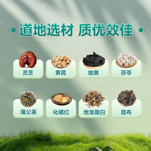 宣菲结节通 商品图2