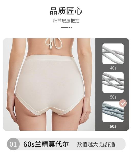 维多利亚出口原单宫廷御用提花内裤(发三条) 商品图12