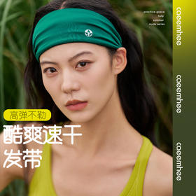 卡益发带 KF3100-2