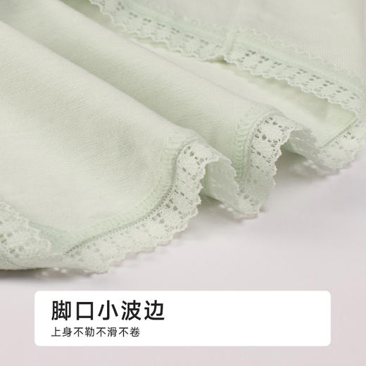 都市丽人纯棉系列50支棉舒肤棉平角裤LKH5J2 商品图5